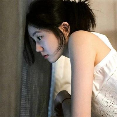 相思树